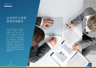 企業(yè)管理咨詢視覺形象設計 S6服務產(chǎn)品手冊的藝術呈現(xiàn)